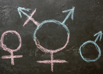 Cristãos criticam fala de ministra sobre meninos usarem vestidos na escola