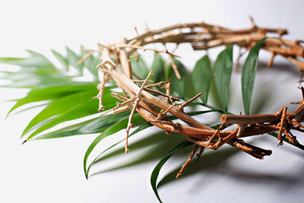 Domingo de Ramos marca início da Semana Santa e relembra entrada de Jesus em Jerusalém